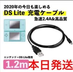 新品入荷※dsライト充電器※dslite充電ケーブル※本日発送tb