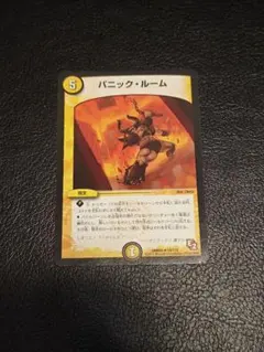 デュエマ　パニックルーム