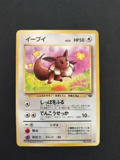 旧裏　イーブイ