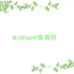 ハーバリウム花材セット　ローズ2輪入り