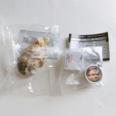 牡蠣 ガチャ 2点セット