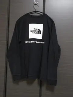 ザノースフェイス THE NORTH FACE ロンT