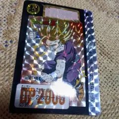 ドラゴンボールZ 悟飯 カード 603