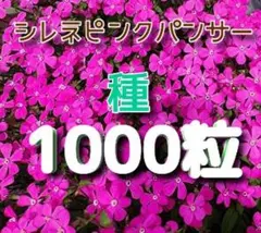やまじゅん様 リクエスト 2点 まとめ商品