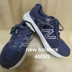 Item thumbnail for item f17f0885-1bed-4a12-9316-a316878837df