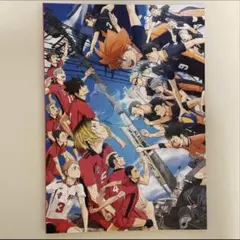 【ハイキュー】劇場版パンフレット＆カード5枚&ステッカー２枚セット