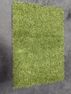 T22人工芝【プロ使用】芝丈20mm 通常㎡/4500円→【半額】㎡/2250円