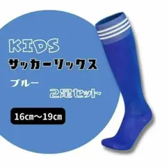 サッカーソックス 青×白 3本ライン 2足セット 16～19 ジュニア