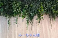 みーちゃん様専用