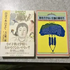 Item thumbnail for item 264fe583-adc4-4022-b734-822d85ca9091