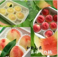 桃(日川)秀品 特大〜大玉6個 化粧箱入り 2箱 - メルカリ