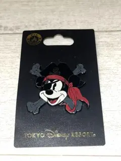 東京ディズニーリゾート ピンズ まとめ売り 2025年最新】東京ディズニーリゾート キャラクターグッズ ピンズ