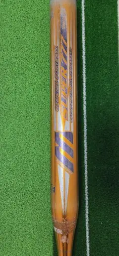 Item thumbnail for item 11fbc2b0-52a7-48f8-8bfe-5f3a9ab1a32d