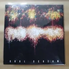 SOUL SCREAM 蜂と蝶 12inch レコード 日本語ラップ - メルカリ
