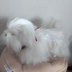 平成レトロ　犬の動くぬいぐるみ　SEGA TOYS