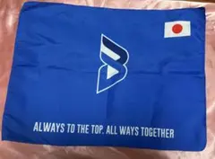 Item thumbnail for item 35472cde-f38c-49cd-900b-70c556f3c202