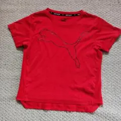 PUMAプーマ 赤 Tシャツ ショートスリーブ130㎝