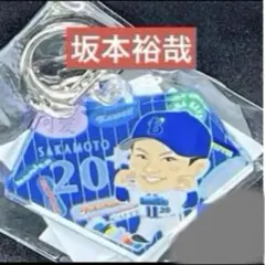 Item thumbnail for item 531769de-36c5-4610-90ae-10b47dfc9f5b