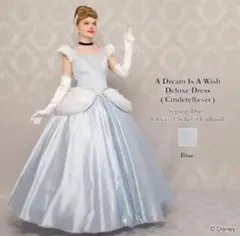 2026年最新】シークレットハニー シンデレラ ドレスの人気アイテム