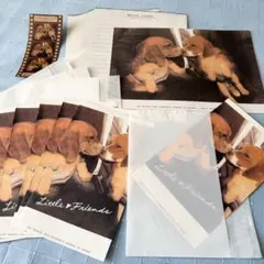 レトロ 犬 レターセット レター 23枚 透ける封筒 4枚入り