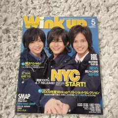 Wink up 2010年5月号