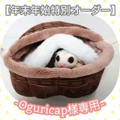 【年末年始特別オーダー専用ページ】フクロモモンガ