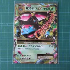 【ポケカ】MフシギバナEX
