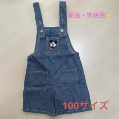 Item thumbnail for item 56026a86-e496-454c-b3b5-102398c8c9d8