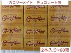 カロリーメイト　チョコレート味　2本×60箱セットのサムネイル