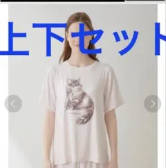 Item thumbnail for item 07558643-8d67-458a-ac95-1dd0652de8f0