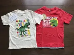 120センチ 、130センチ　半袖 Tシャツ 恐竜 新品 タグ付き