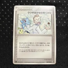 ポケモンカード ウツギはかせの育てかた eシリーズ 1st EDITION - メルカリ