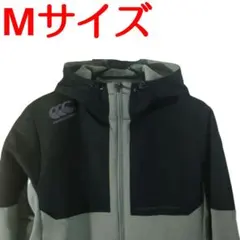 Item thumbnail for item 80ab2701-ce2f-4b99-b35c-026c063c1426