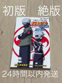 Item thumbnail for item 101ccfd0-7ea0-47c5-925b-1e94d1d84d18