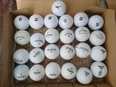 Item thumbnail for item d3f6e6d1-e286-41c5-b1bb-4d2a59e89b00