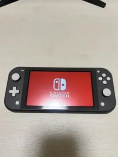 Nintendo Switch Lite グレー 本体