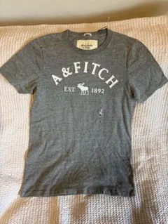 【新品】Abercrombie & Fitch アバクロ Tシャツ 日本サイズL