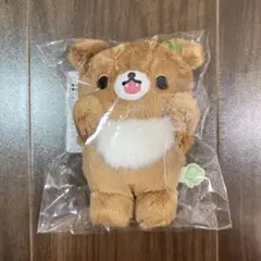 コリコグストア　ぶらさげぬいぐるみ　チャイロイコグマ　クローバー
