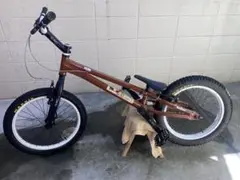 茨城県引取 Monty M5 フルカーボン トライアル自転車 20インチ Yahoo!オークション - MONTY M5 トライアル 自転車