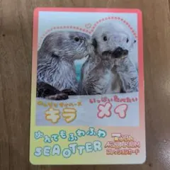 鳥羽水族館 とばすいコレカ2 ラッコ キラちゃん メイちゃん - メルカリ
