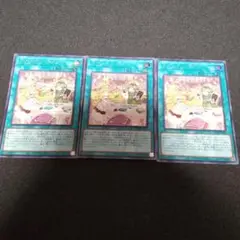 遊戯王 マドルチェサロン シク3枚