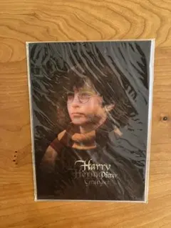 ポストカード　ハリーポッター　ホログラム/レンチキュラー 2枚セット