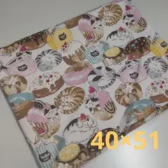 ランチョンマット 40×50 小学校給食 ねこ