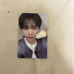 スタークリエイターキット イヌセット スタークリエイターキット イヌセット 犬 大型犬用 飼い始め