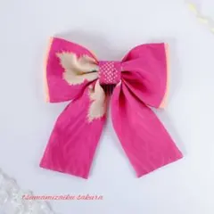 Item thumbnail for item 6a465517-4097-4f9a-b9a0-0d82920b7ed7