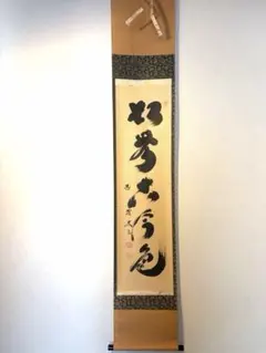 掛軸 茶掛 大徳寺黄梅 小林太玄【青松多寿色】自筆 一行 紫野黄梅院