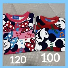 東京ディズニーリゾート Tシャツ 120 100 2枚セット