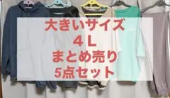 4L 5点 大きいサイズ まとめ売り 美品 ぽっちゃり プラスサイズ