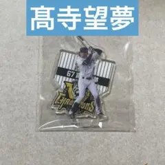 阪神タイガース 2025 JERA セ・リーグ優勝記念くじ 髙寺望夢