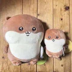 ナガノのカワウソ ぬいぐるみくじセット ナガノマーケット